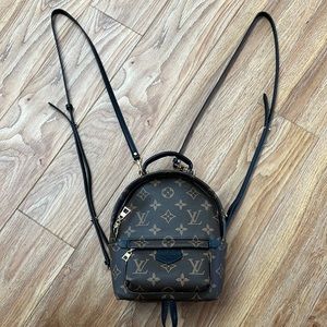 LV mini backpack (not real)